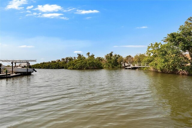 6530 Manila Palm Way, Apollo Beach, FL 33572 - dock area with a water view