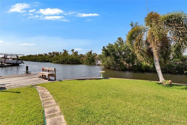 6530 Manila Palm Way, Apollo Beach, FL 33572 - dock with a yard and a water view