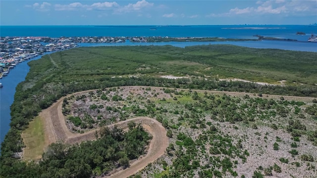 6530 Manila Palm Way, Apollo Beach, FL 33572 - aerial view of a nearby body of water
