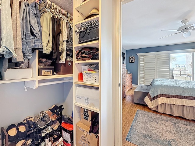 120 1st St E Unit 104, Saint Petersburg, FL 33715 - bedroom with wood finished floors