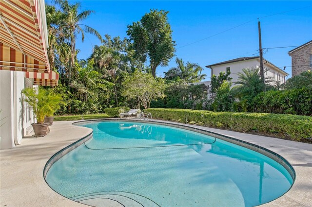 444 W Davis Blvd, Tampa, FL 33606 - photo 23
