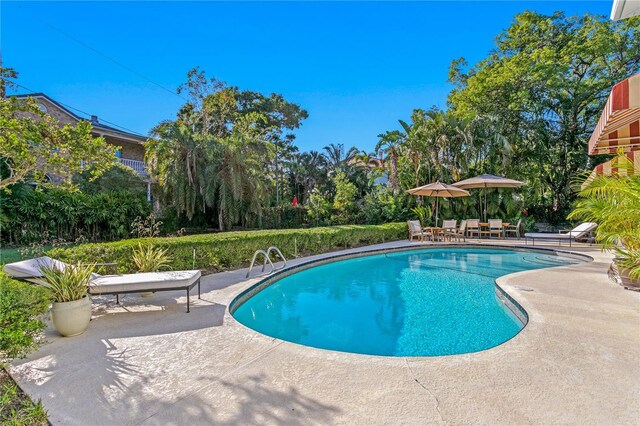 444 W Davis Blvd, Tampa, FL 33606 - photo 69