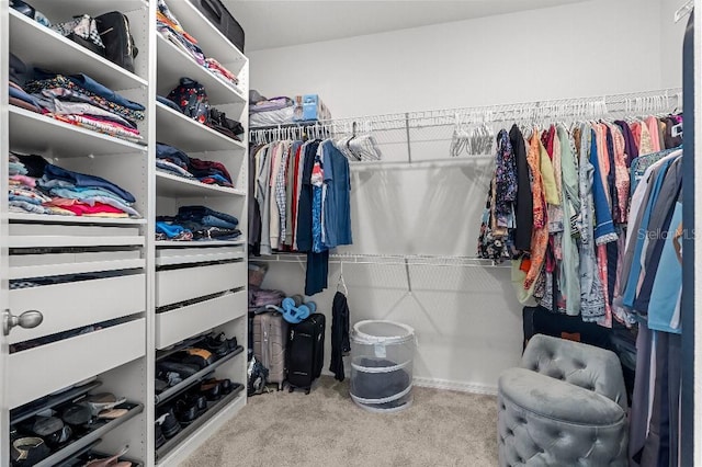 921 Fieldstone Way, Haines City, FL 33844 - spacious closet featuring carpet floors