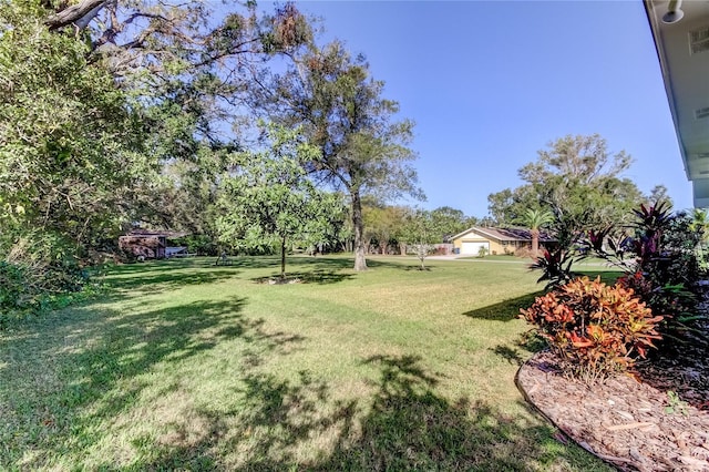 1089 Virginia St, Dunedin, FL 34698 - view of green lawn