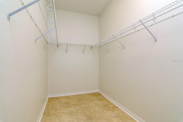 2214 Deerbrook Dr, Lakeland, FL 33811 - spacious closet with light colored carpet