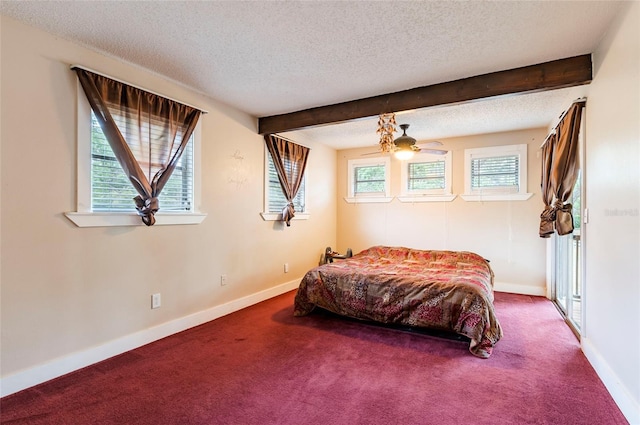 12311 Oakwood Dr, Hudson, FL 34669 - photo 40