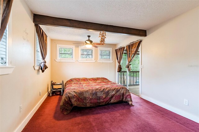 12311 Oakwood Dr, Hudson, FL 34669 - photo 41