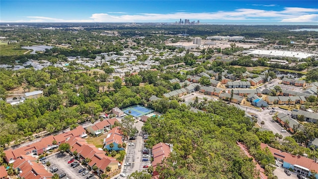 bird's eye view