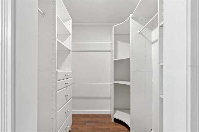 39542 Friends Ave, Zephyrhills, FL 33540 - spacious closet with dark wood finished floors