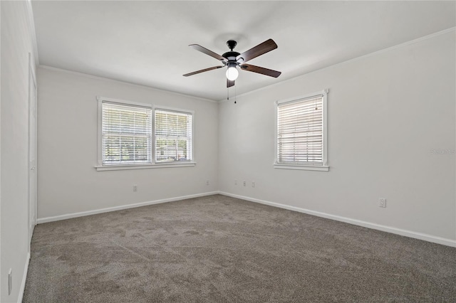 39542 Friends Ave, Zephyrhills, FL 33540 - empty room with crown molding, a ceiling fan, and carpet floors