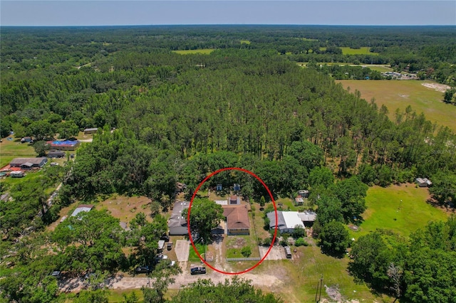 39542 Friends Ave, Zephyrhills, FL 33540 - aerial view of a heavily wooded area