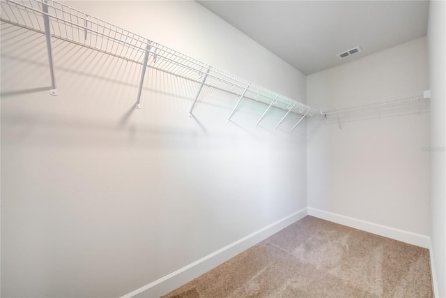 walk in closet with carpet flooring