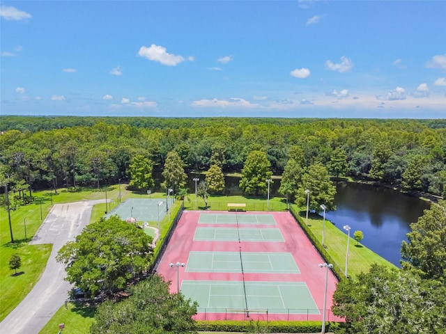 3762 Darston St, Palm Harbor, FL 34685 - bird's eye view of a heavily wooded area and a large body of water