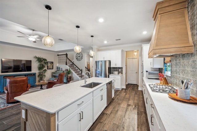 22294 Storybook Cabin Way, Land O Lakes, FL 34637 - kitchen with a sink, stainless steel appliances, premium range hood, open floor plan, and ornamental molding