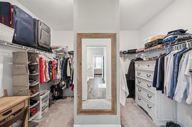 22294 Storybook Cabin Way, Land O Lakes, FL 34637 - spacious closet with light carpet