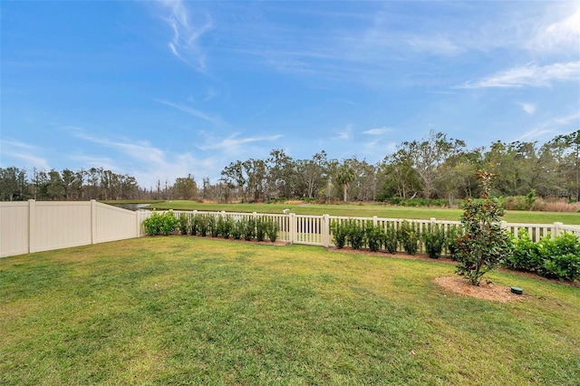 22294 Storybook Cabin Way, Land O Lakes, FL 34637 - view of yard