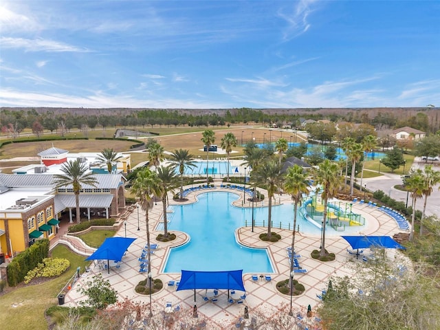 22294 Storybook Cabin Way, Land O Lakes, FL 34637 - view of community pool