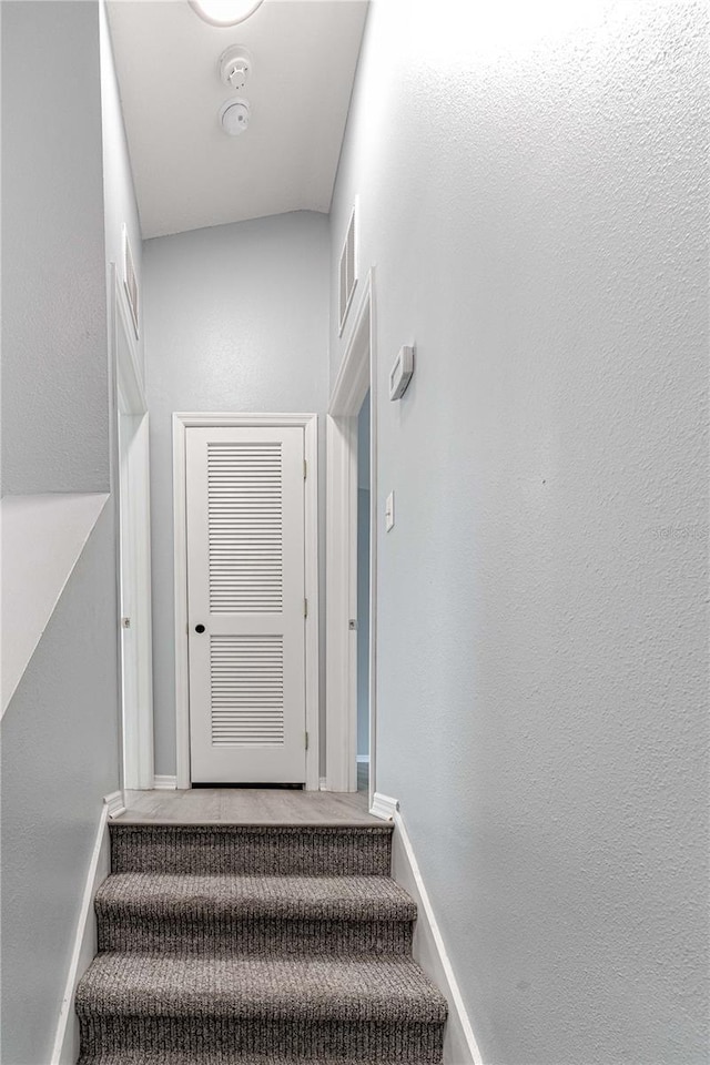stairway featuring baseboards and carpet flooring