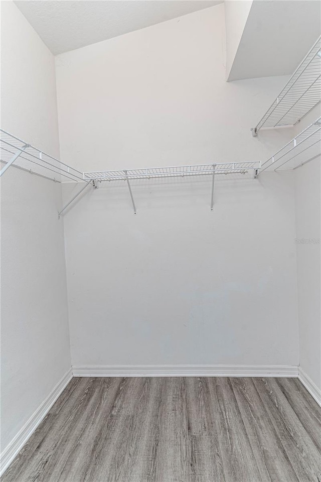 walk in closet featuring wood finished floors