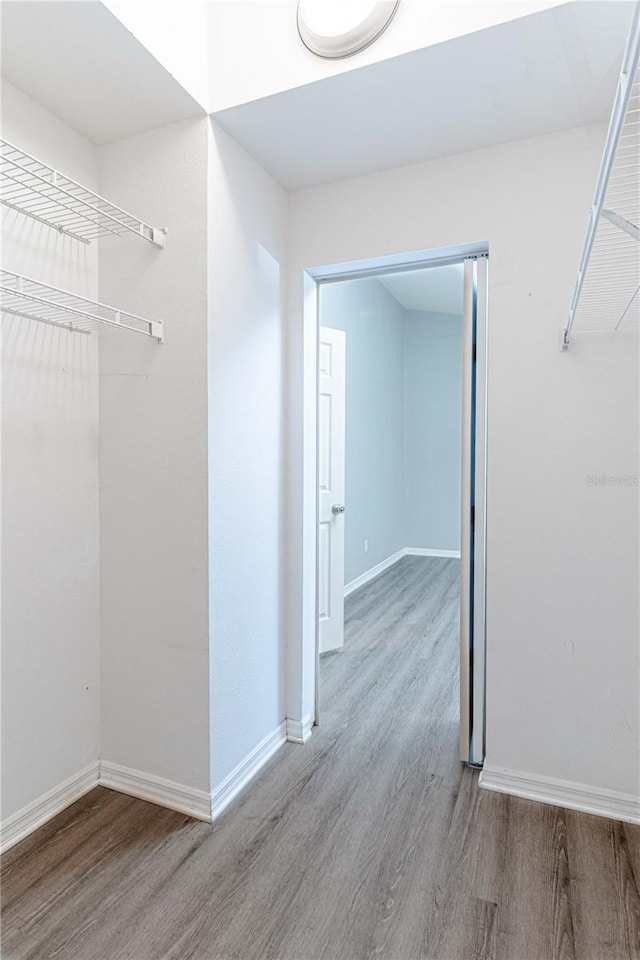 walk in closet with wood finished floors