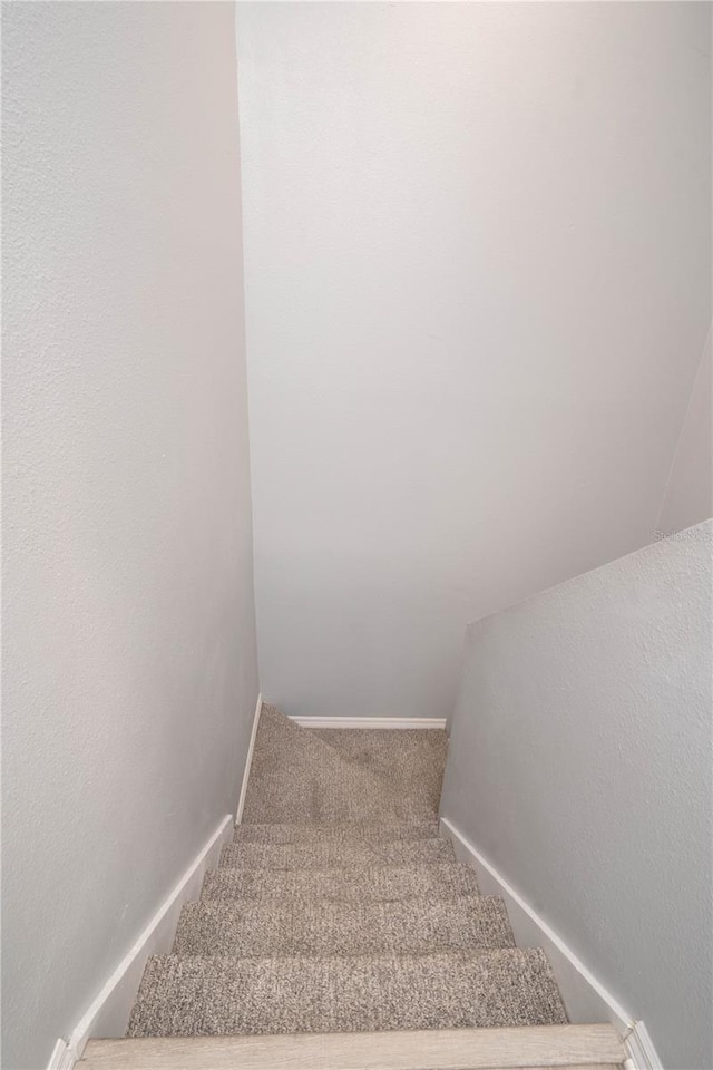stairs with carpet floors and baseboards