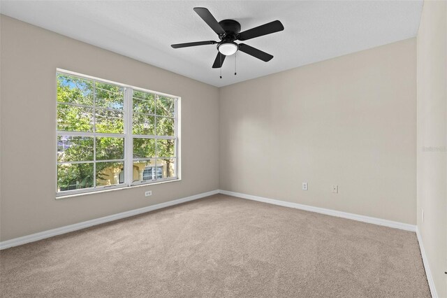 6250 Maisie Rd, Zephyrhills, FL 33542 - photo 19