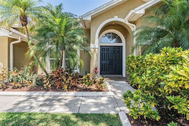 12421 Seabrook Dr, Tampa, FL 33626 - entrance to property featuring stucco siding