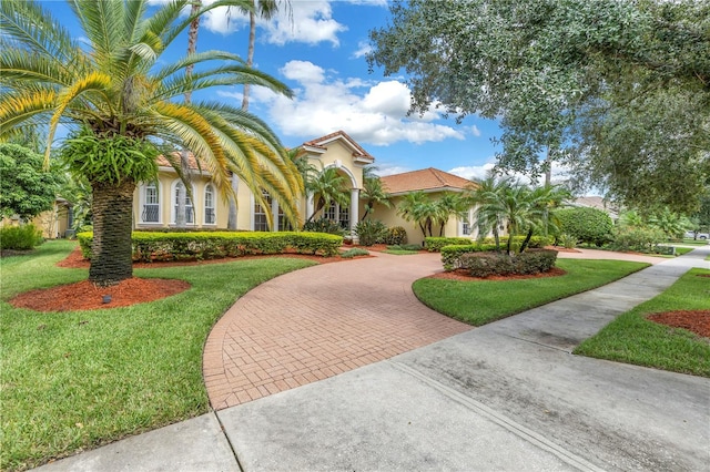 mediterranean / spanish house featuring curved driveway, stucco siding, and a front yard