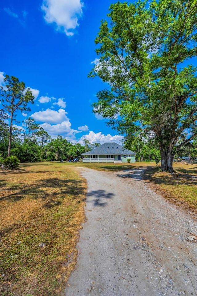 8755 Ogleby Creek Rd, Myakka City, FL 34251 - photo 5