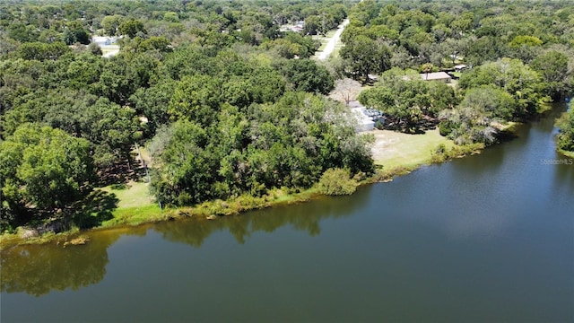 12102 Parkwood St, Hudson, FL 34669 - photo 4