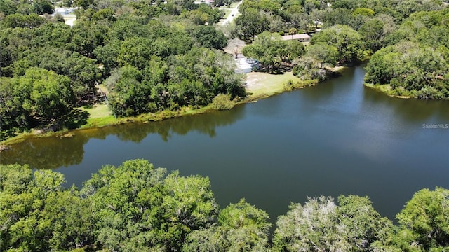 12102 Parkwood St, Hudson, FL 34669 - photo 5