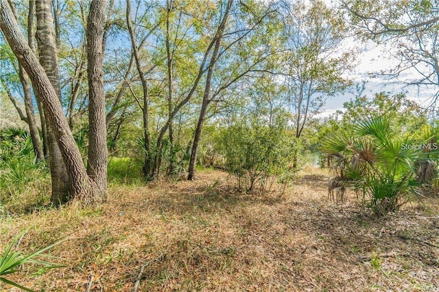 12102 Parkwood St, Hudson, FL 34669 - photo 7