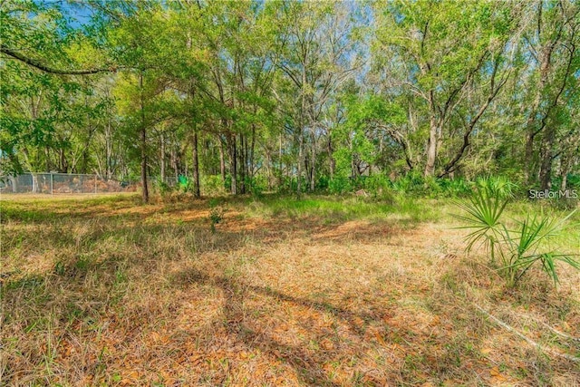 12102 Parkwood St, Hudson, FL 34669 - photo 8