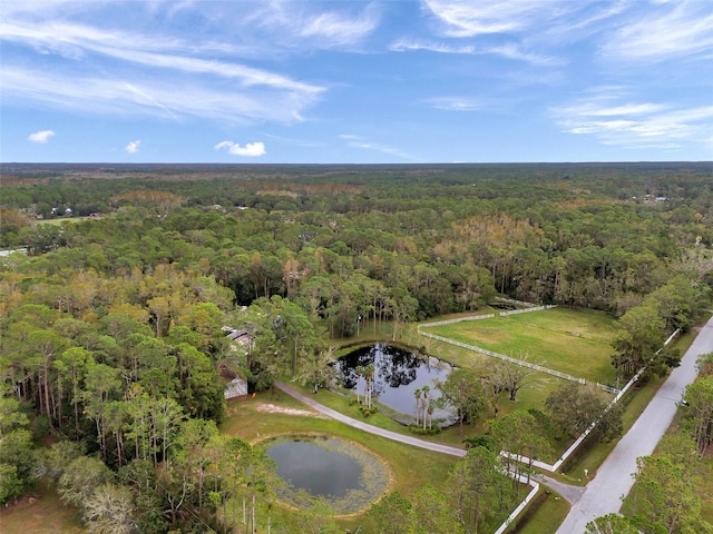 655 Appaloosa Rd, Tarpon Springs, FL 34688 - photo 1