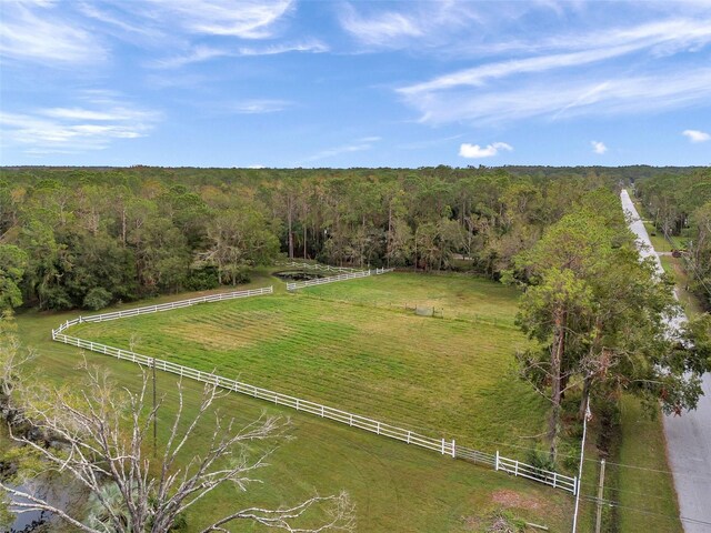 655 Appaloosa Rd, Tarpon Springs, FL 34688 - photo 4