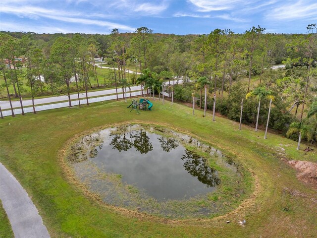 655 Appaloosa Rd, Tarpon Springs, FL 34688 - photo 8