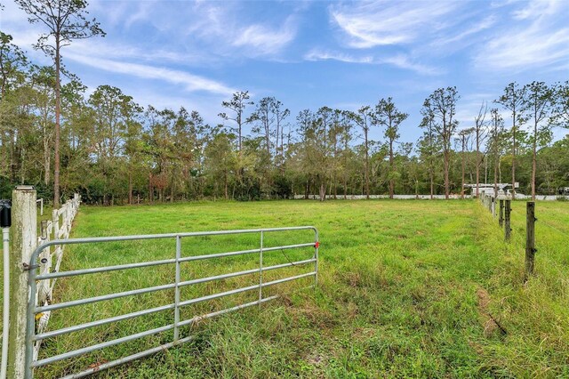 655 Appaloosa Rd, Tarpon Springs, FL 34688 - photo 9