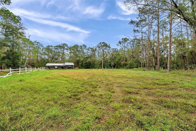 655 Appaloosa Rd, Tarpon Springs, FL 34688 - photo 11