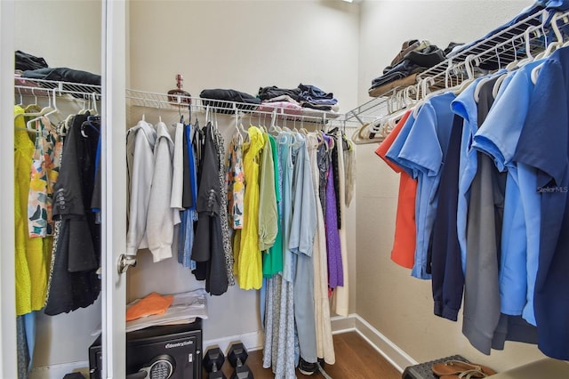 6140 Marina Cove Way S, Saint Petersburg, FL 33712 - walk in closet featuring wood finished floors