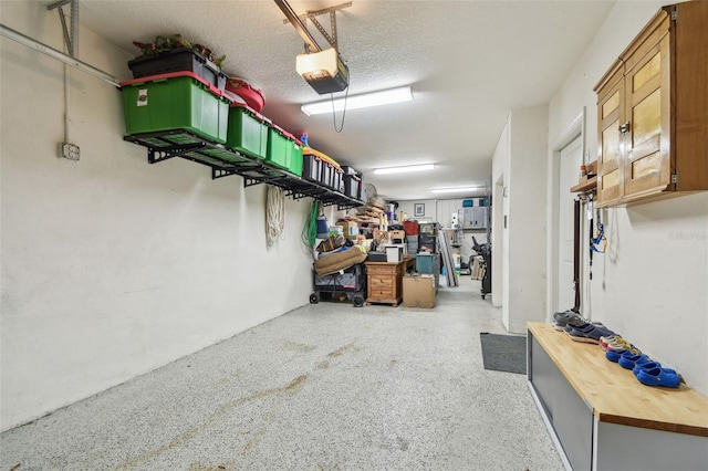 6140 Marina Cove Way S, Saint Petersburg, FL 33712 - garage featuring a garage door opener
