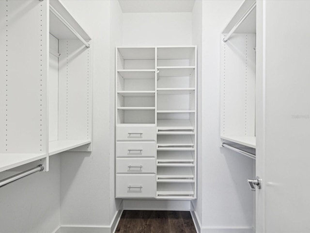 946 Highland Ave Unit 24, Dunedin, FL 34698 - walk in closet featuring dark wood-style floors