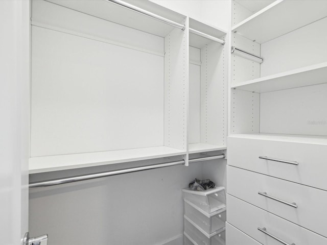 946 Highland Ave Unit 24, Dunedin, FL 34698 - view of walk in closet