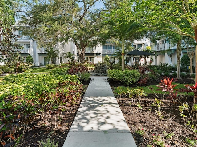 946 Highland Ave Unit 24, Dunedin, FL 34698 - view of home's community featuring a residential view