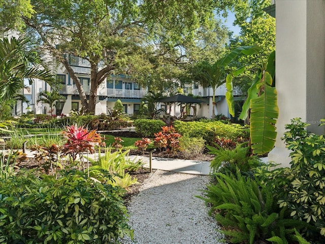 946 Highland Ave Unit 24, Dunedin, FL 34698 - view of yard