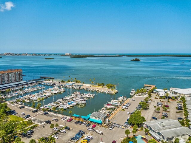 946 Highland Ave Unit 24, Dunedin, FL 34698 - aerial view of a nearby body of water and numerous boat docks