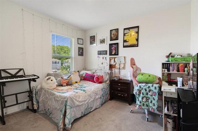 2449 Moon Shadow Rd, New Port Richey, FL 34655 - bedroom with carpet
