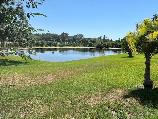 18104 Sweet Jasmine Dr, Tampa, FL 33647 - water view