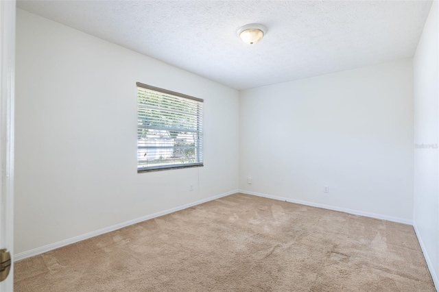 1426 Buckner Rd, Valrico, FL 33596 - empty room featuring carpet, baseboards, and a textured ceiling