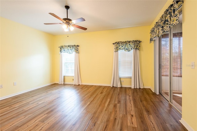 19025 Callaway Ct, Tampa, FL 33647 - spare room featuring wood finished floors, plenty of natural light, and ceiling fan