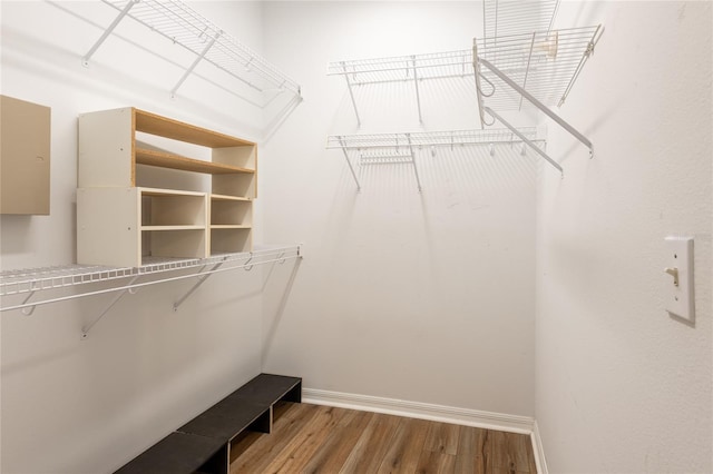 19025 Callaway Ct, Tampa, FL 33647 - walk in closet featuring wood finished floors